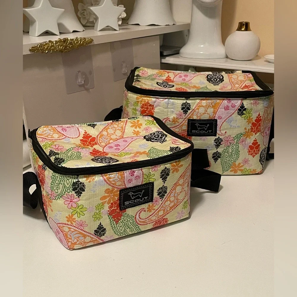 Scout two pieces of lunchboxes set. Clean without any damages